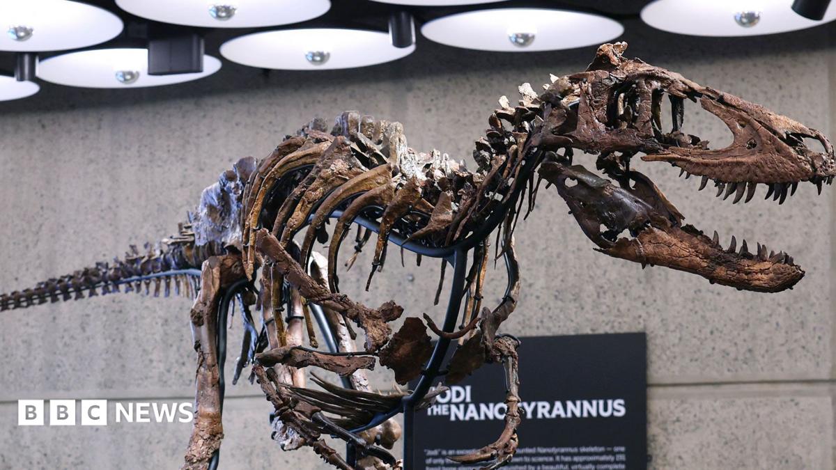 Скелет на Nanotyrannus продаден за 47.3 млн. долара на аукцион в Ню Йорк