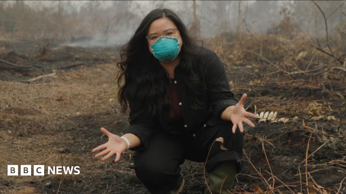 Защо е толкова лоша торфената пожар? BBC е в Индонезия, за да разбере